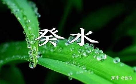 癸水命|癸水命有多可怕 癸水生于各月详解